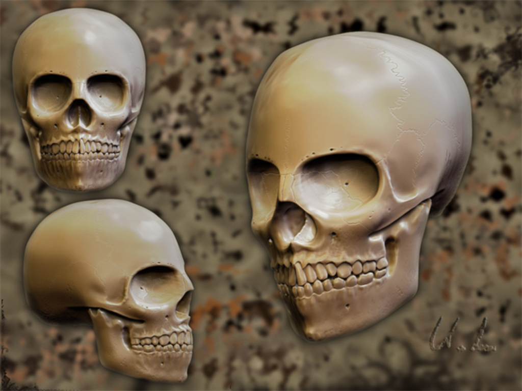 Skull-Composition-194K.jpg