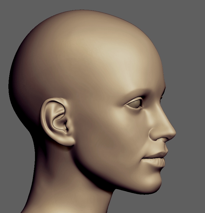 ZBrush Docudment.jpg