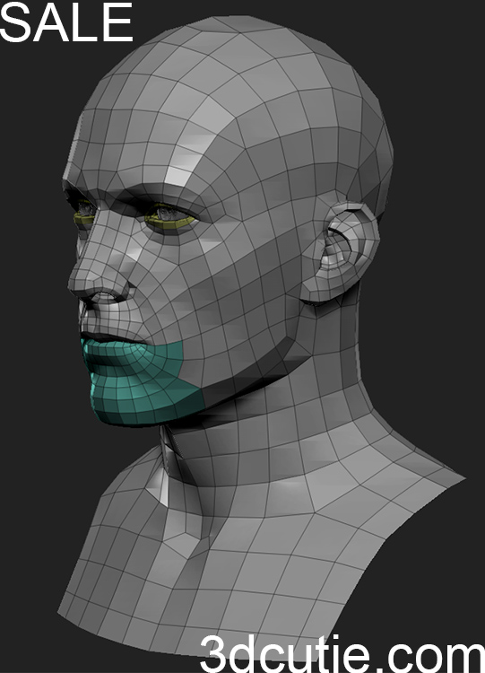manhead_basemesh01_04.jpg