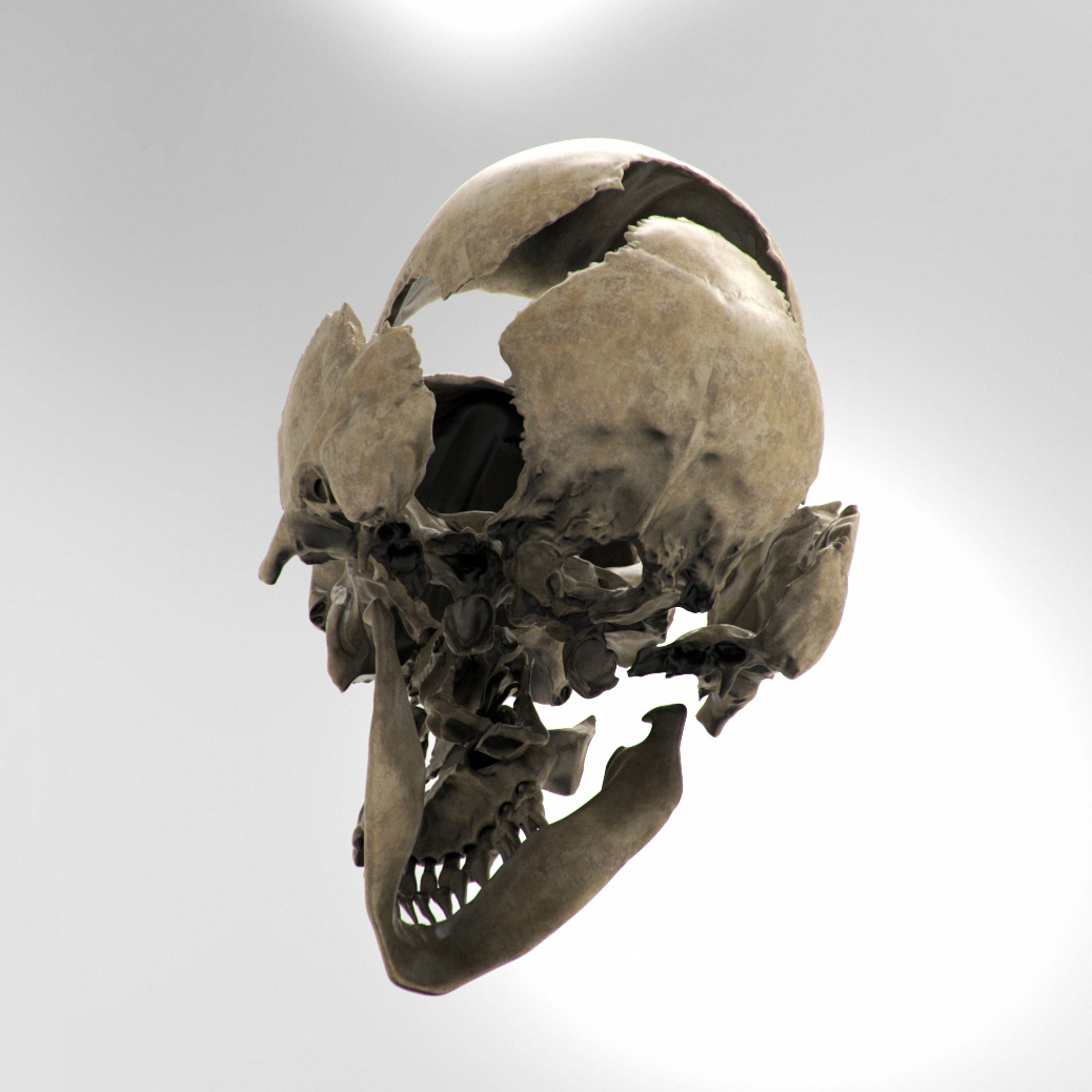 Skull_02.jpg