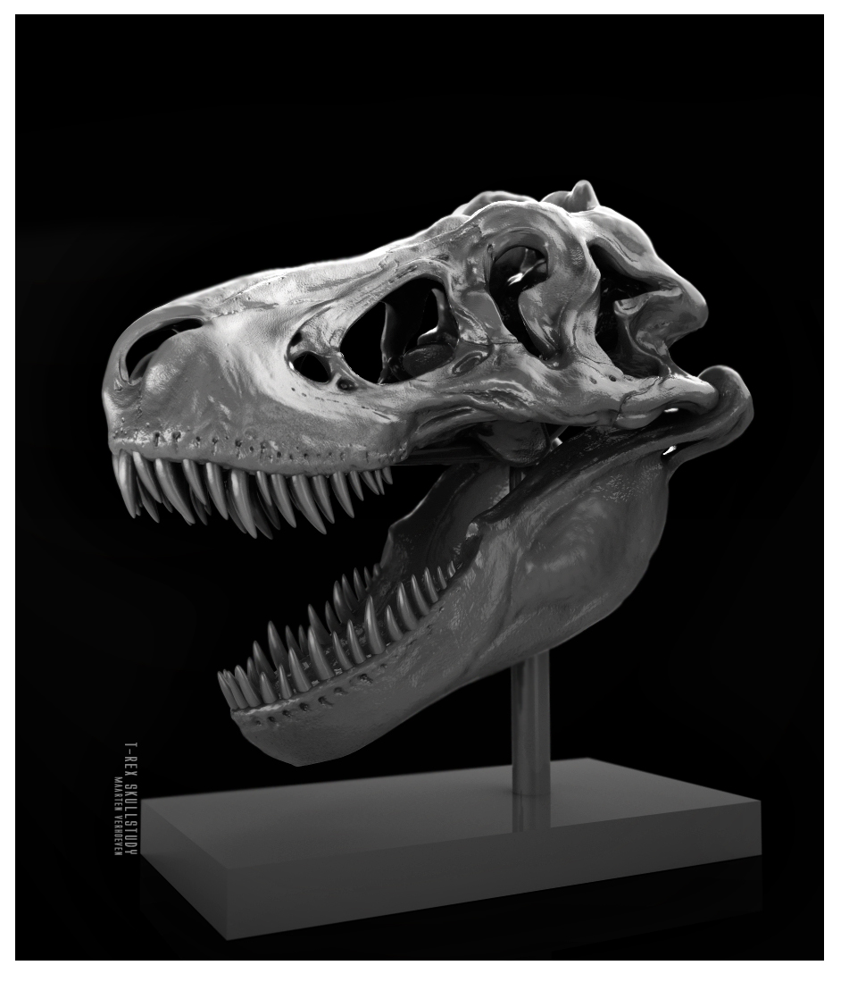 Rex%20def%20render%20final