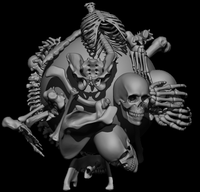 IMMSkeletonBrush2.jpg