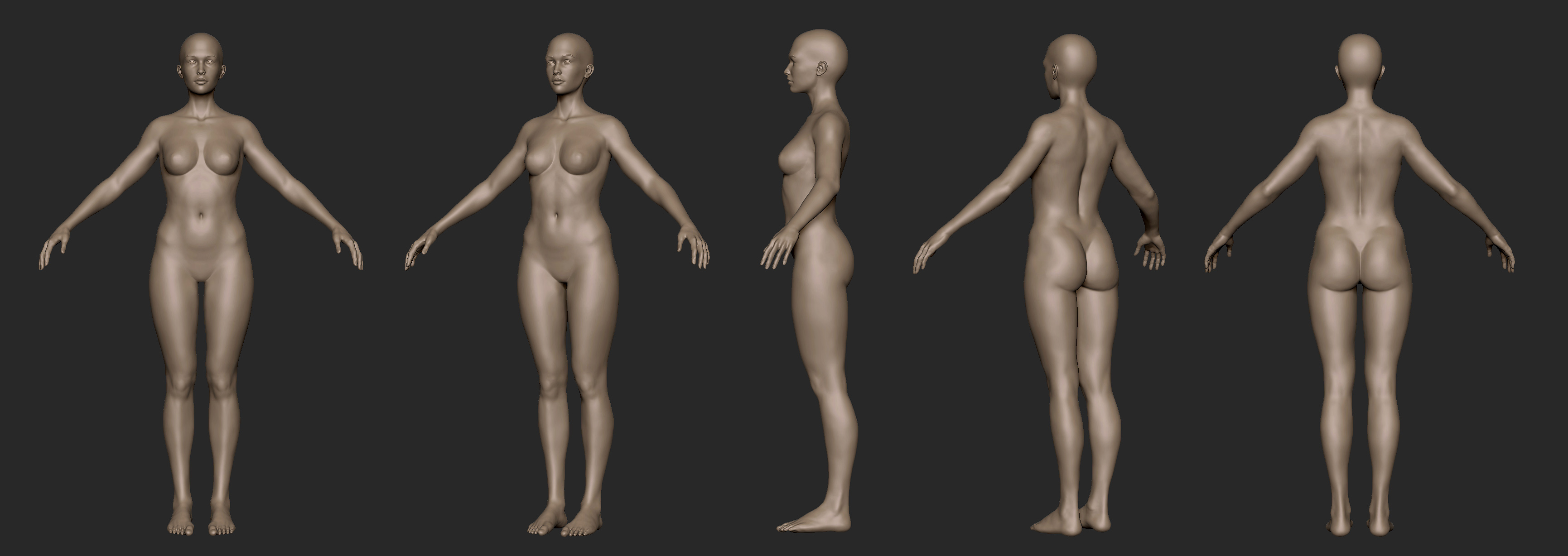 basemesh_02052019_02