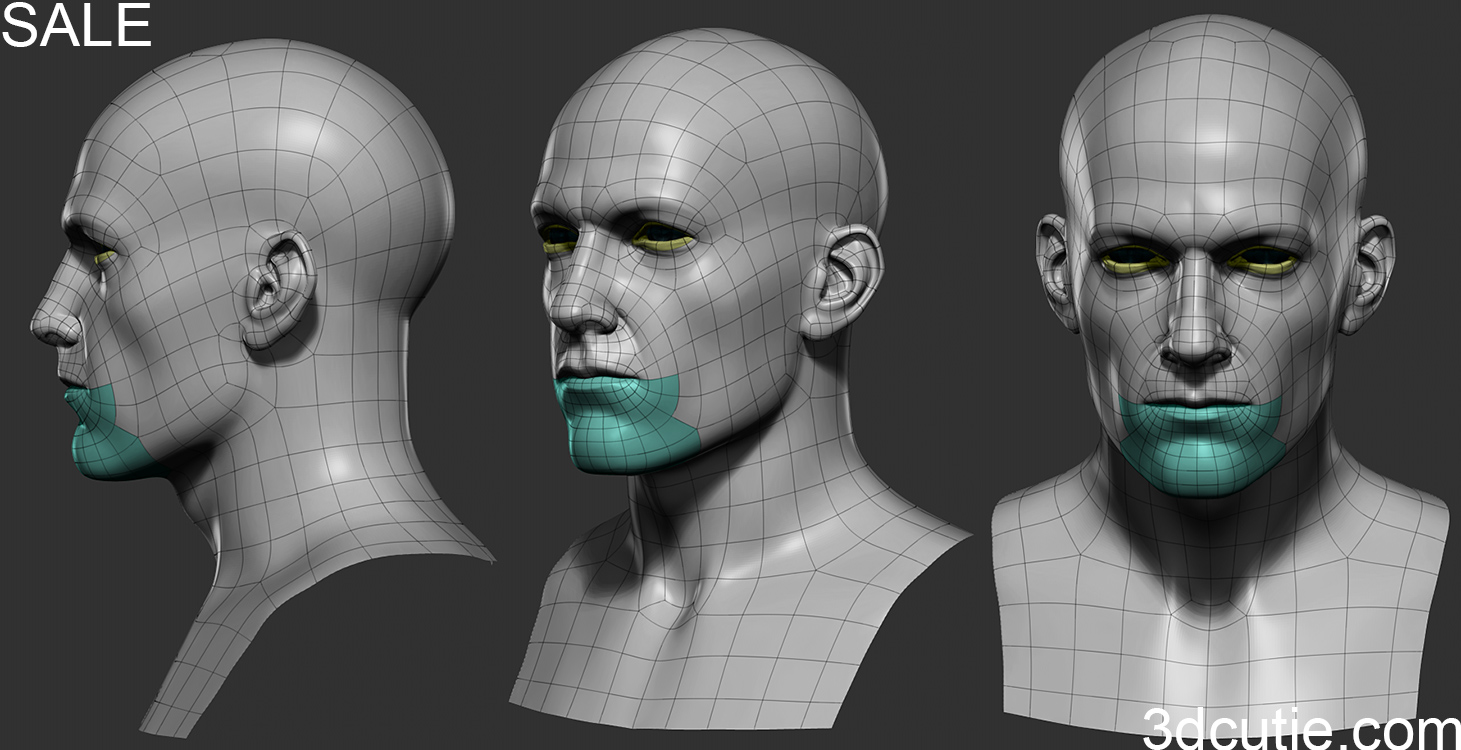 manhead_basemesh01_02.jpg