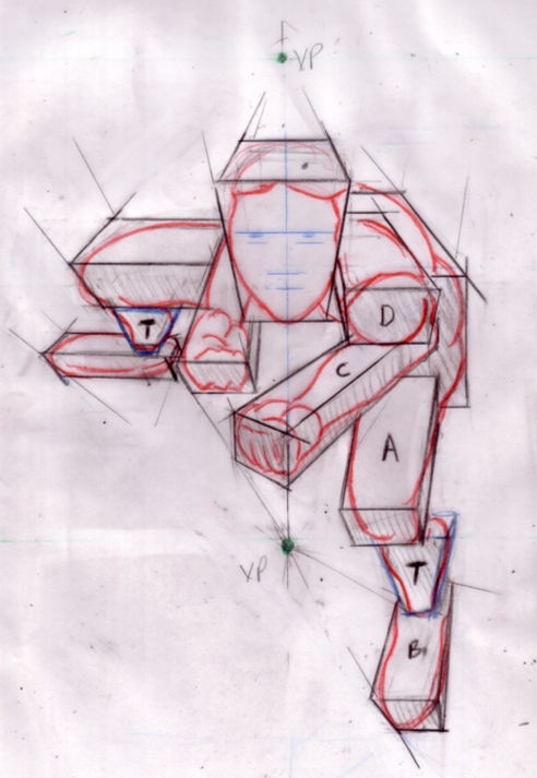 perspective 4shortening1.jpg