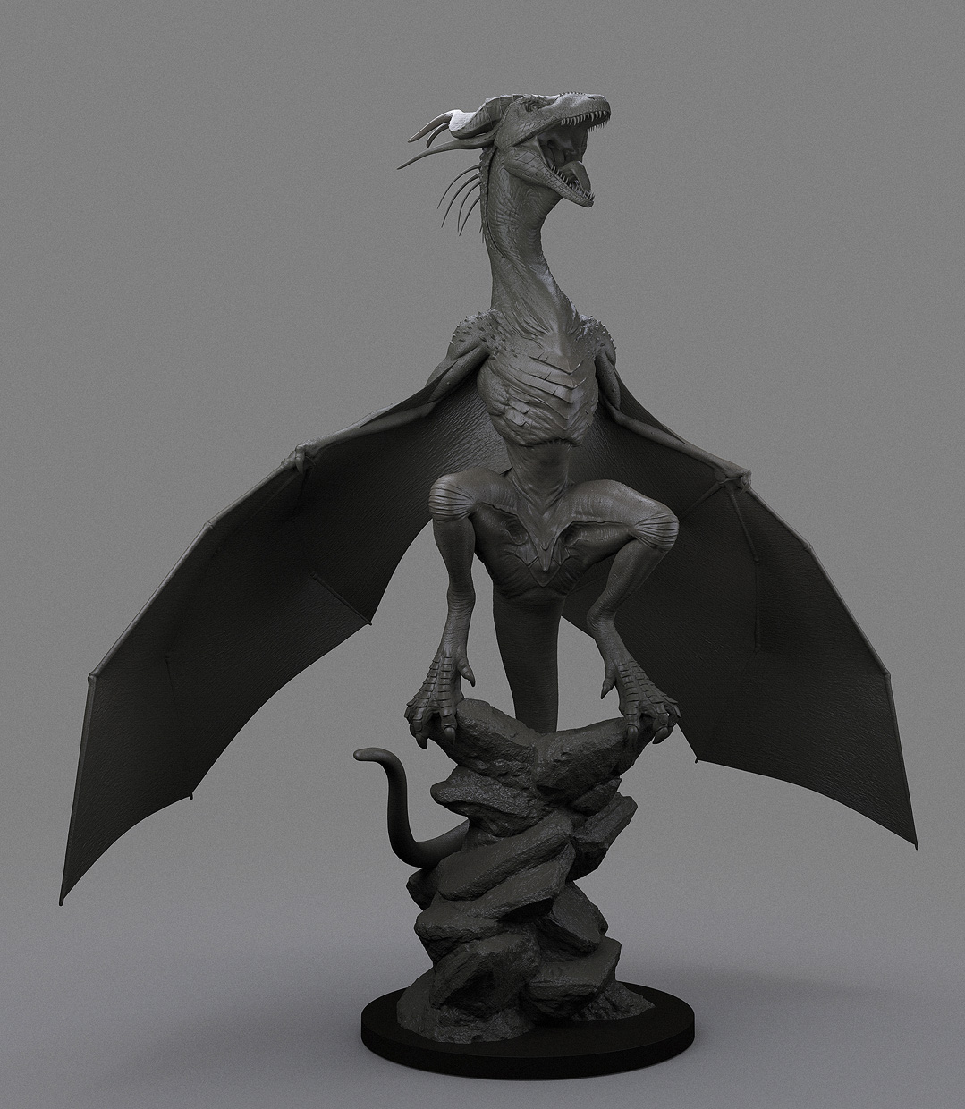 dragon setup 004 SMB.jpg