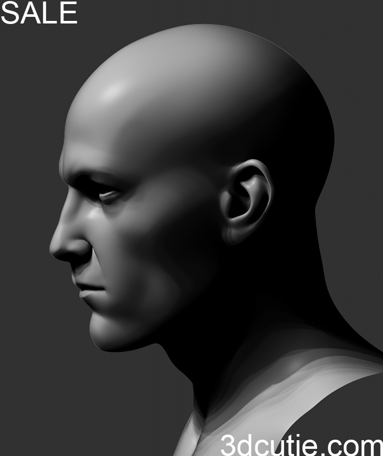 manhead_basemesh01_01.jpg