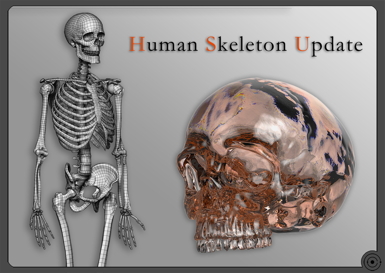 Skeleton_Update.jpg