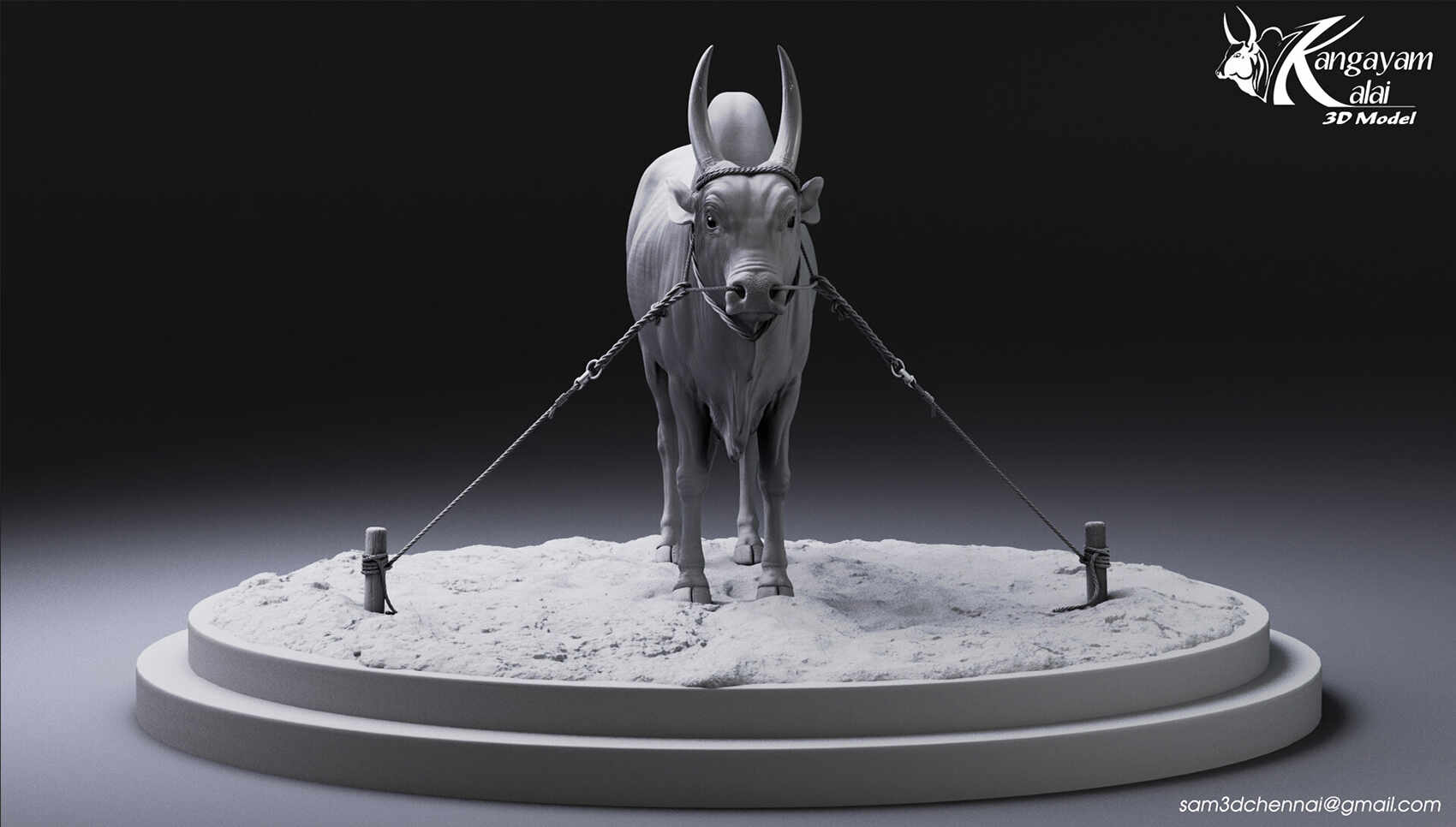 samuel-a-kangayam-bull-12