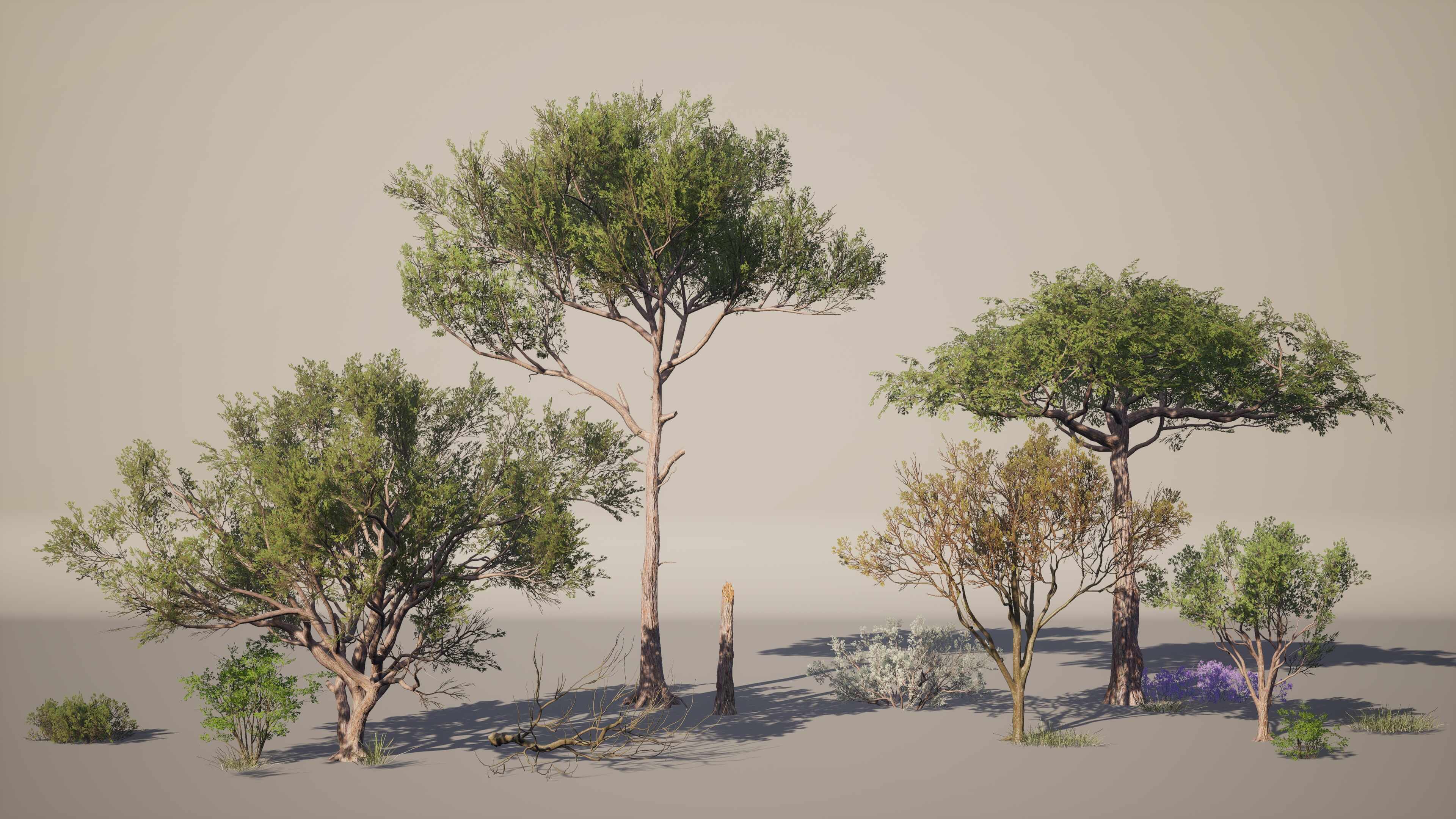 Speedtree_lookdev01