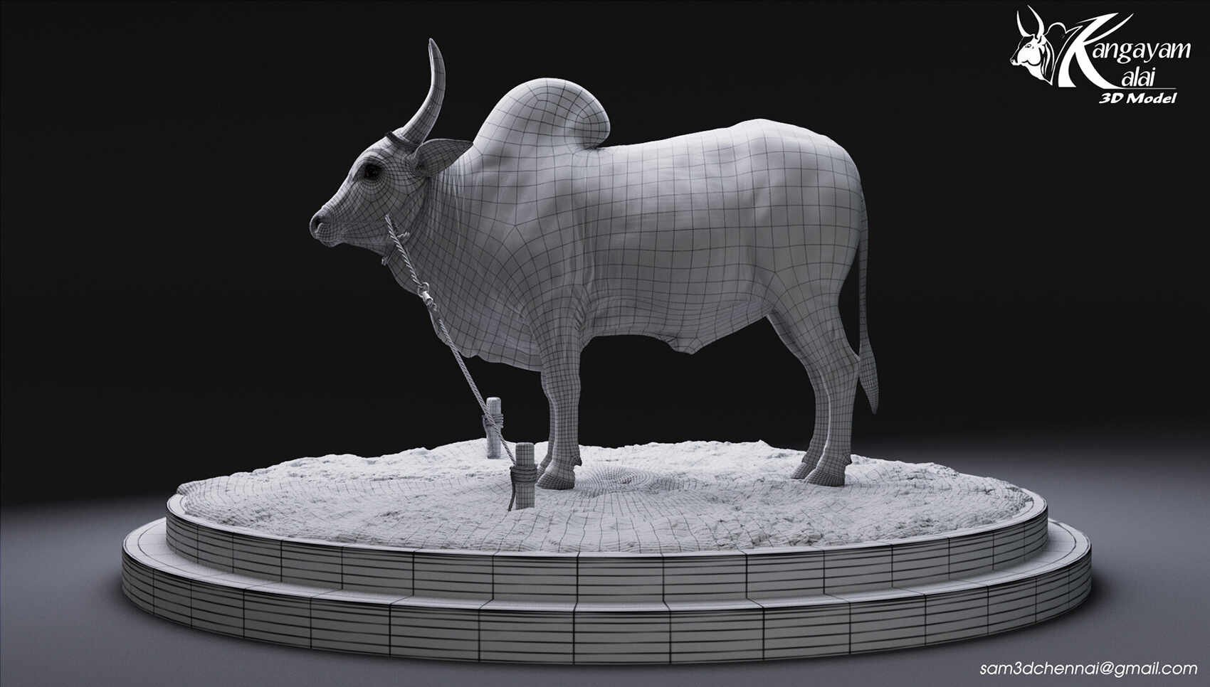 samuel-a-kangayam-bull-19