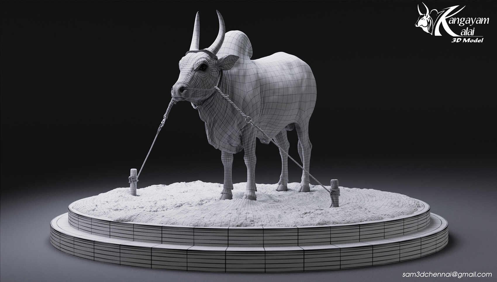 samuel-a-kangayam-bull-16