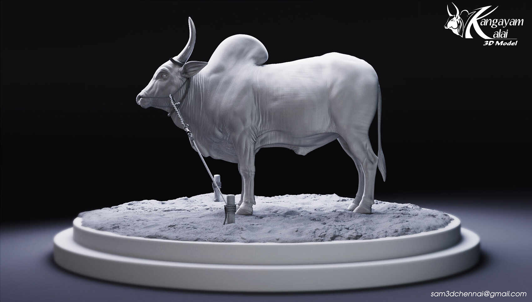 samuel-a-kangayam-bull-18