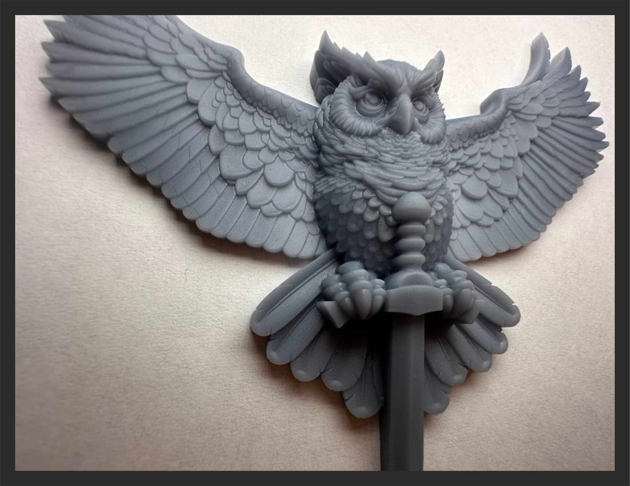 616796916_3767710603538513_9175192870540532716_n