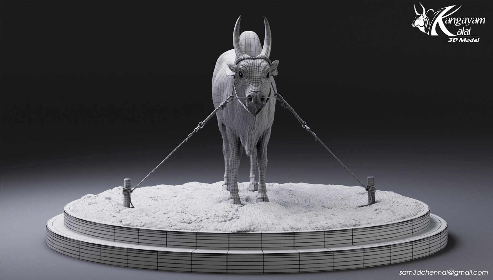 samuel-a-kangayam-bull-13