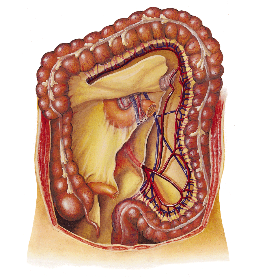 MicrosoftTeams-image (1)