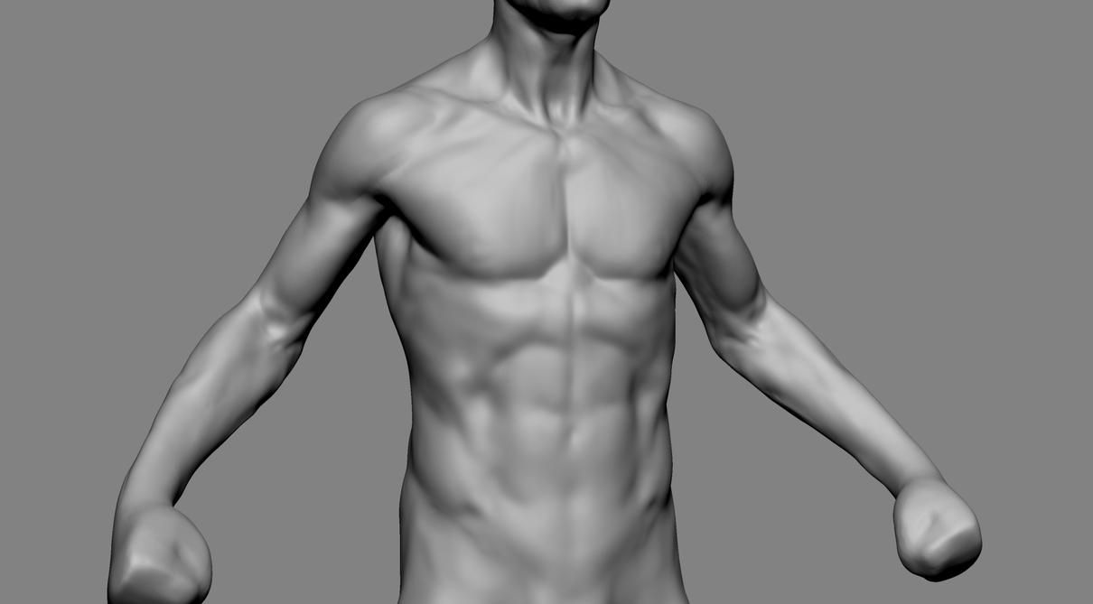 niyazi-selimoglu-male-torso-gif