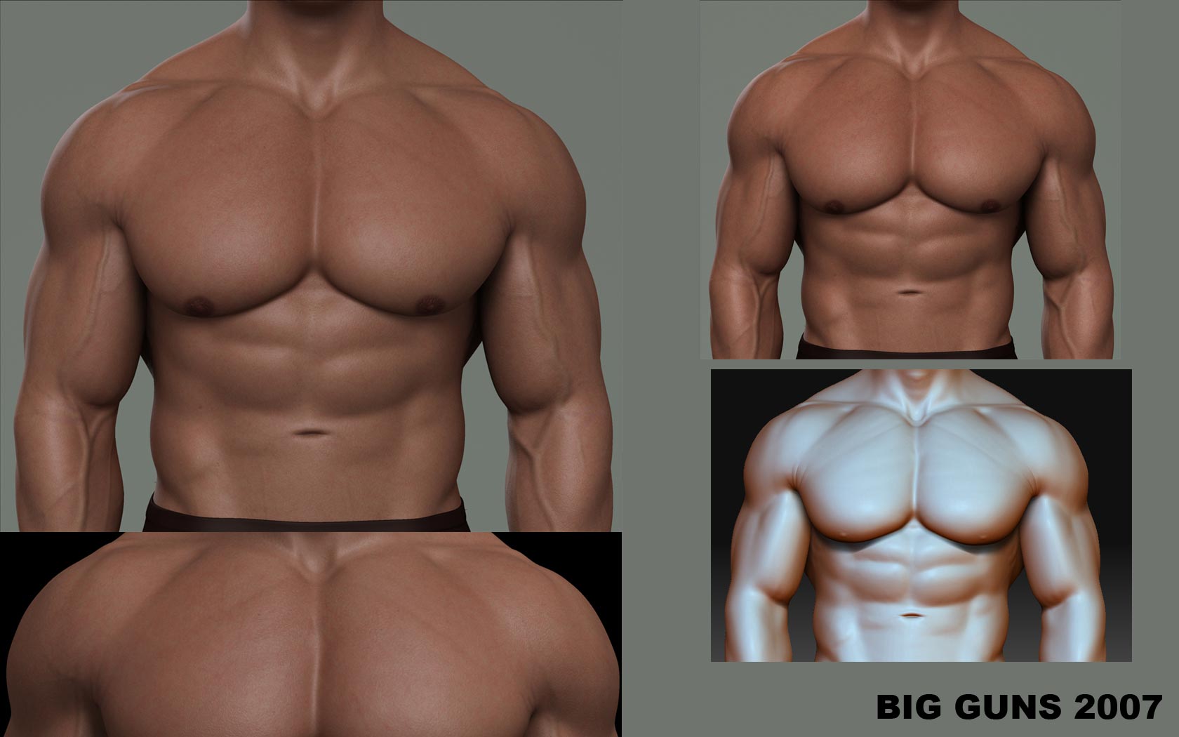 updatedfiberchest2dy8