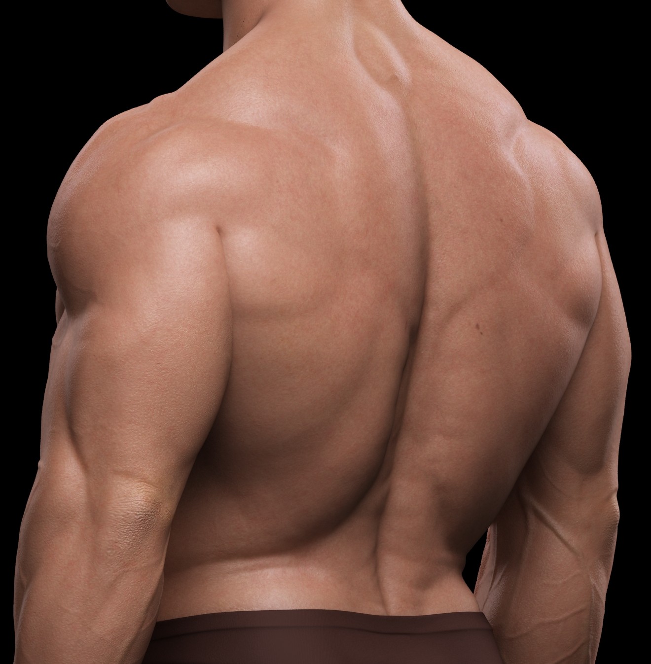 arnold_skin shader Back.jpg