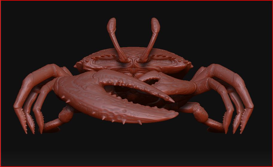 crab front.JPG