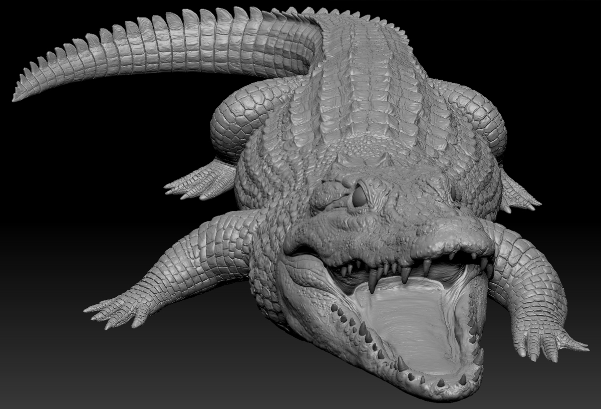Alligator.05.jpg