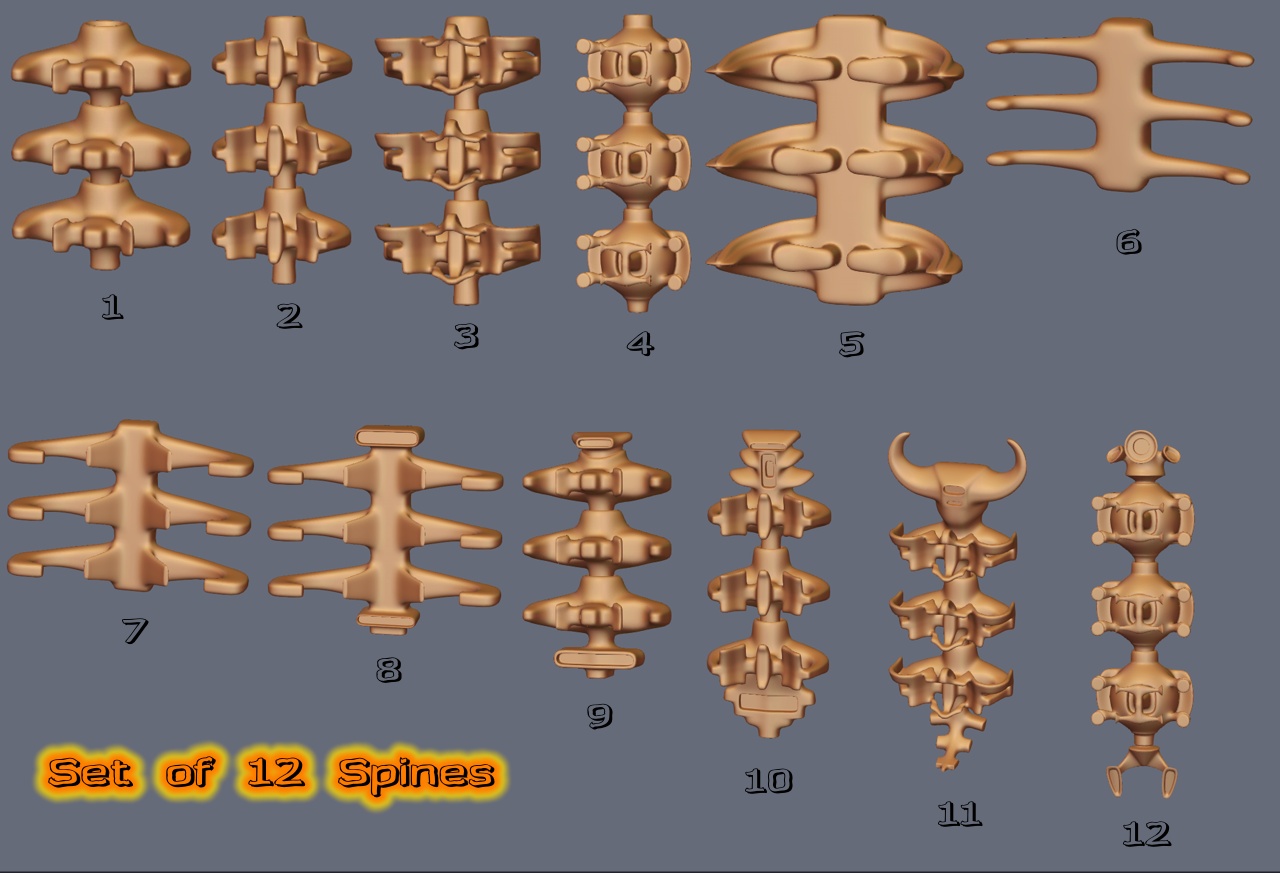 Spines 1.JPG