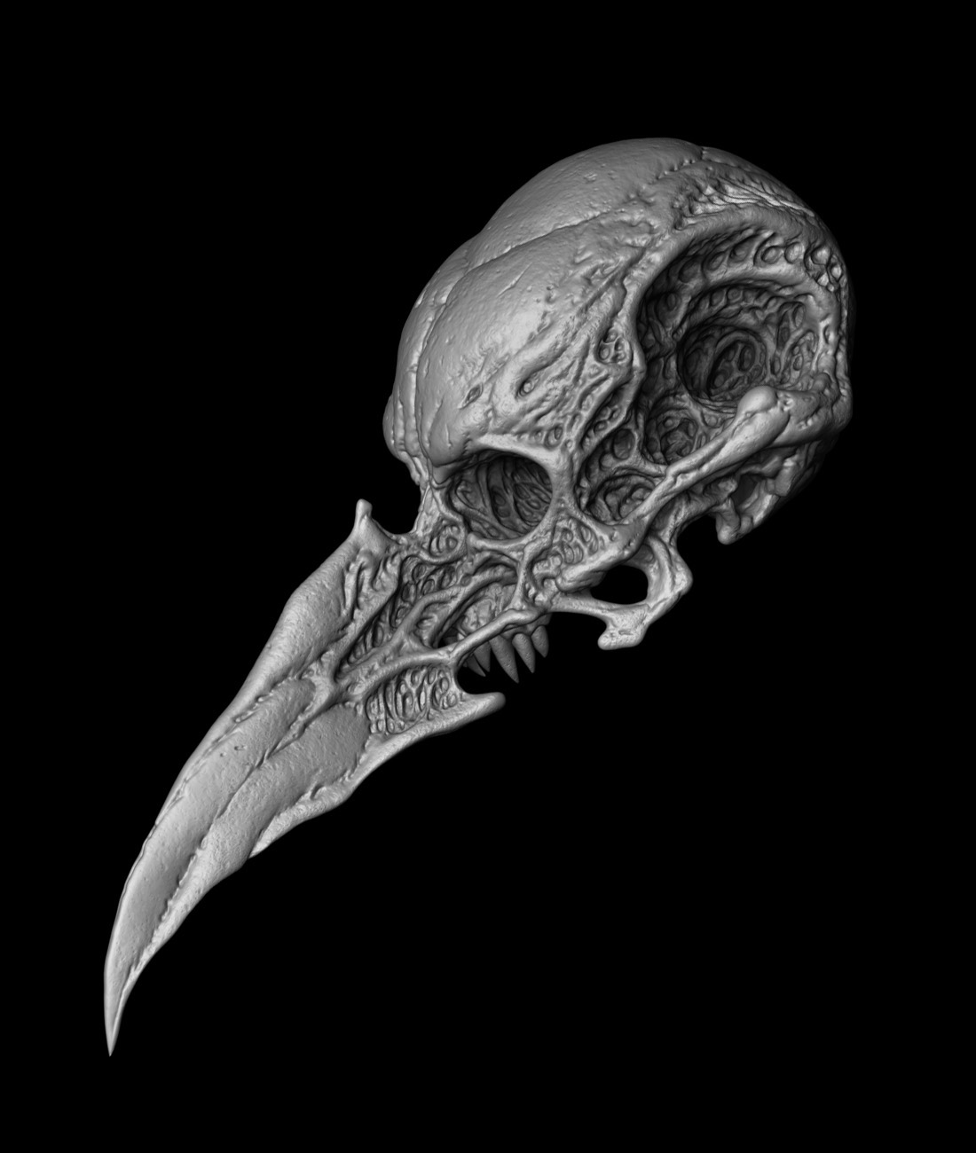 birdskull_c.jpg