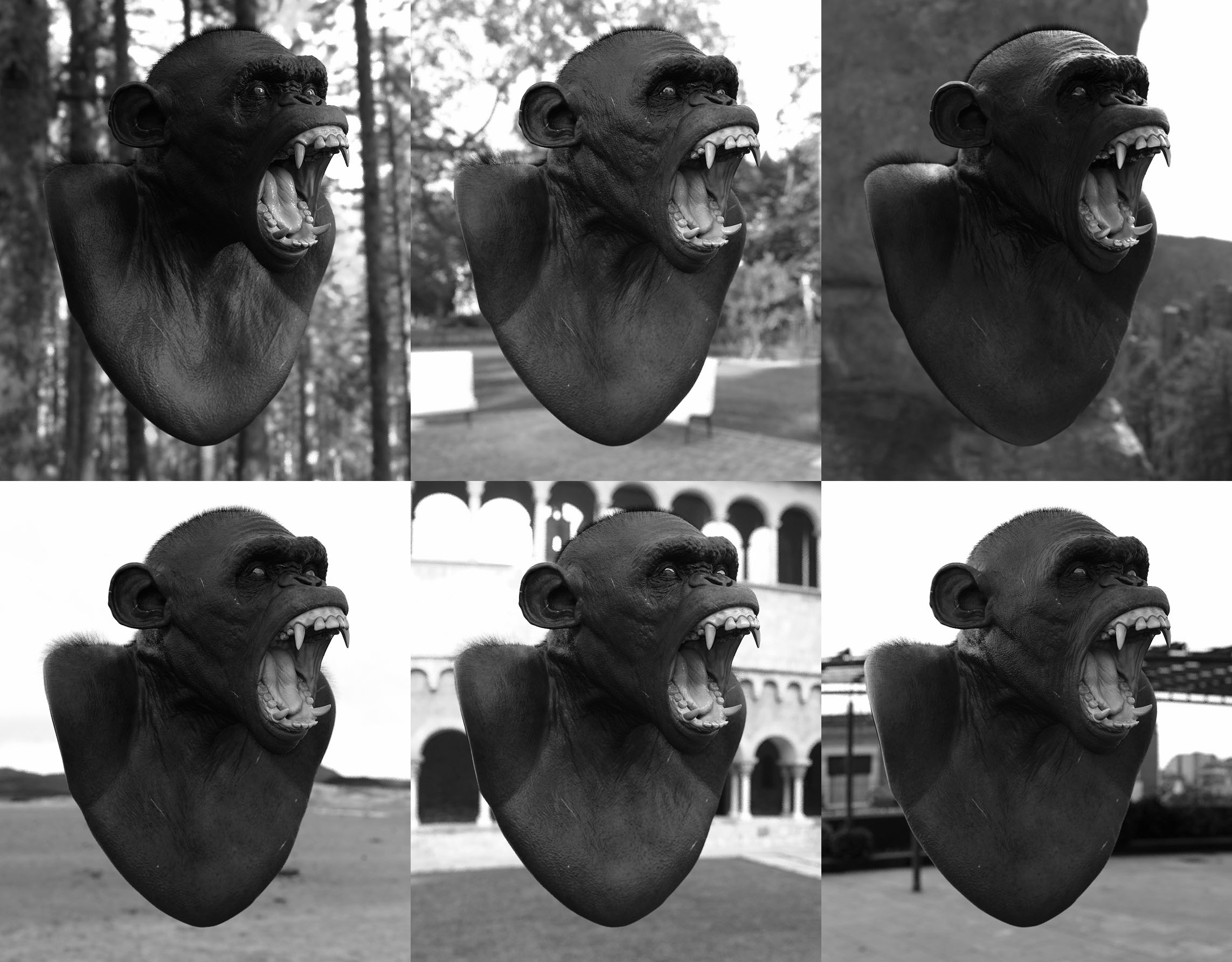 ligthttests 003 BW.jpg