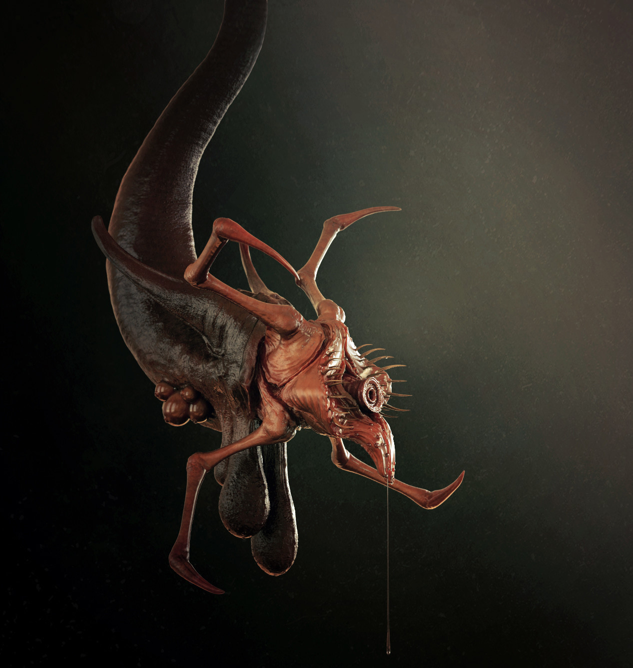 maarten-verhoeven-c (1).jpg