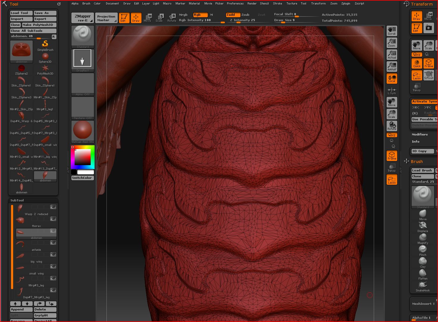 11%20abdomen-reduced