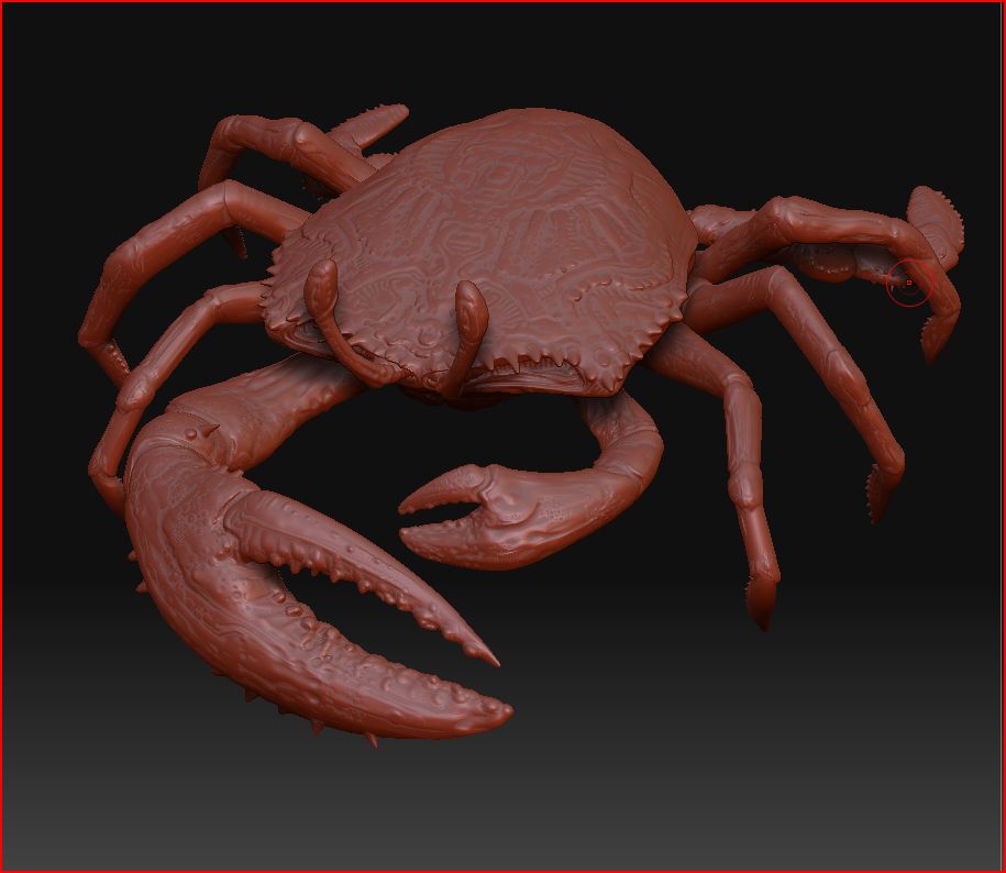 crab 34.JPG