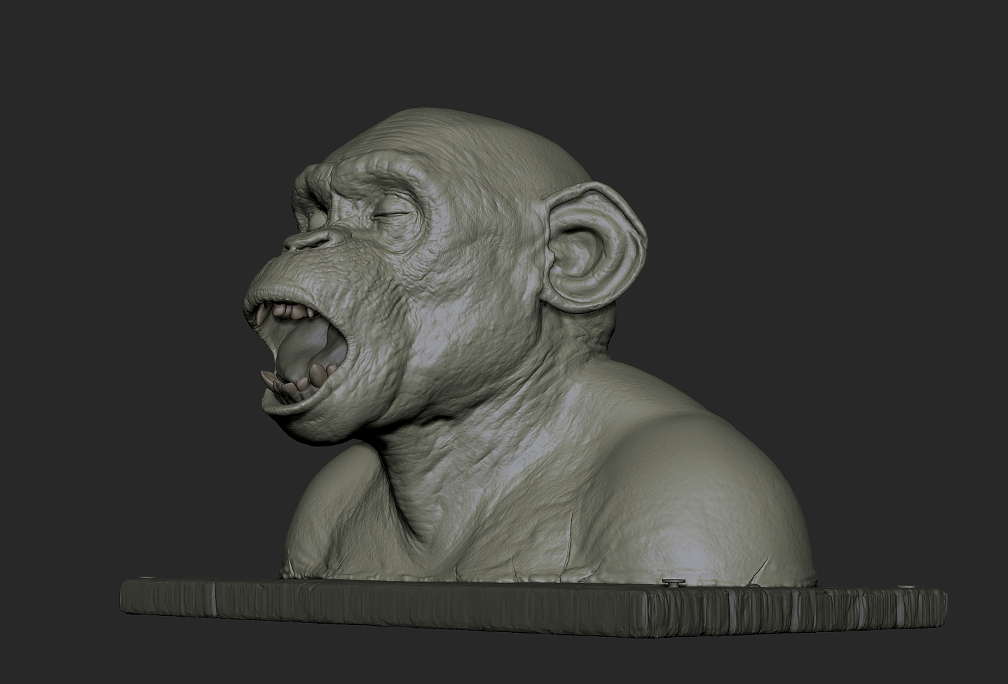 ape autopsy pt2 004.jpg