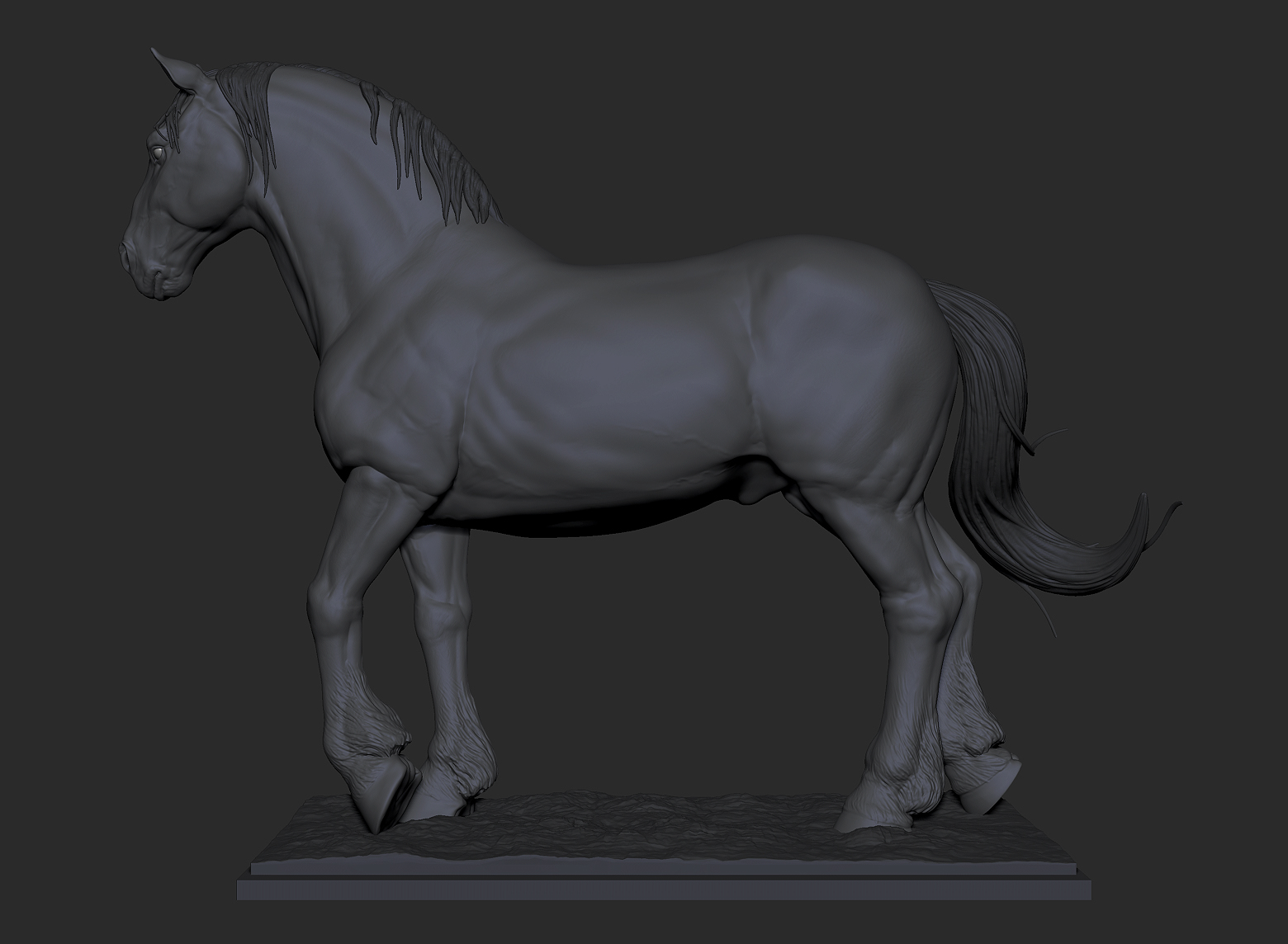 horse study 002.jpg