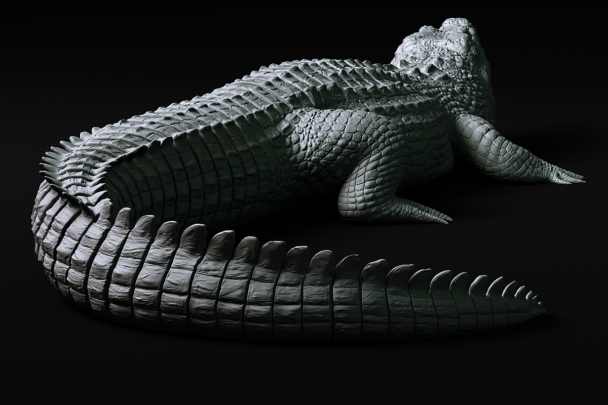 Alligator.03.jpg