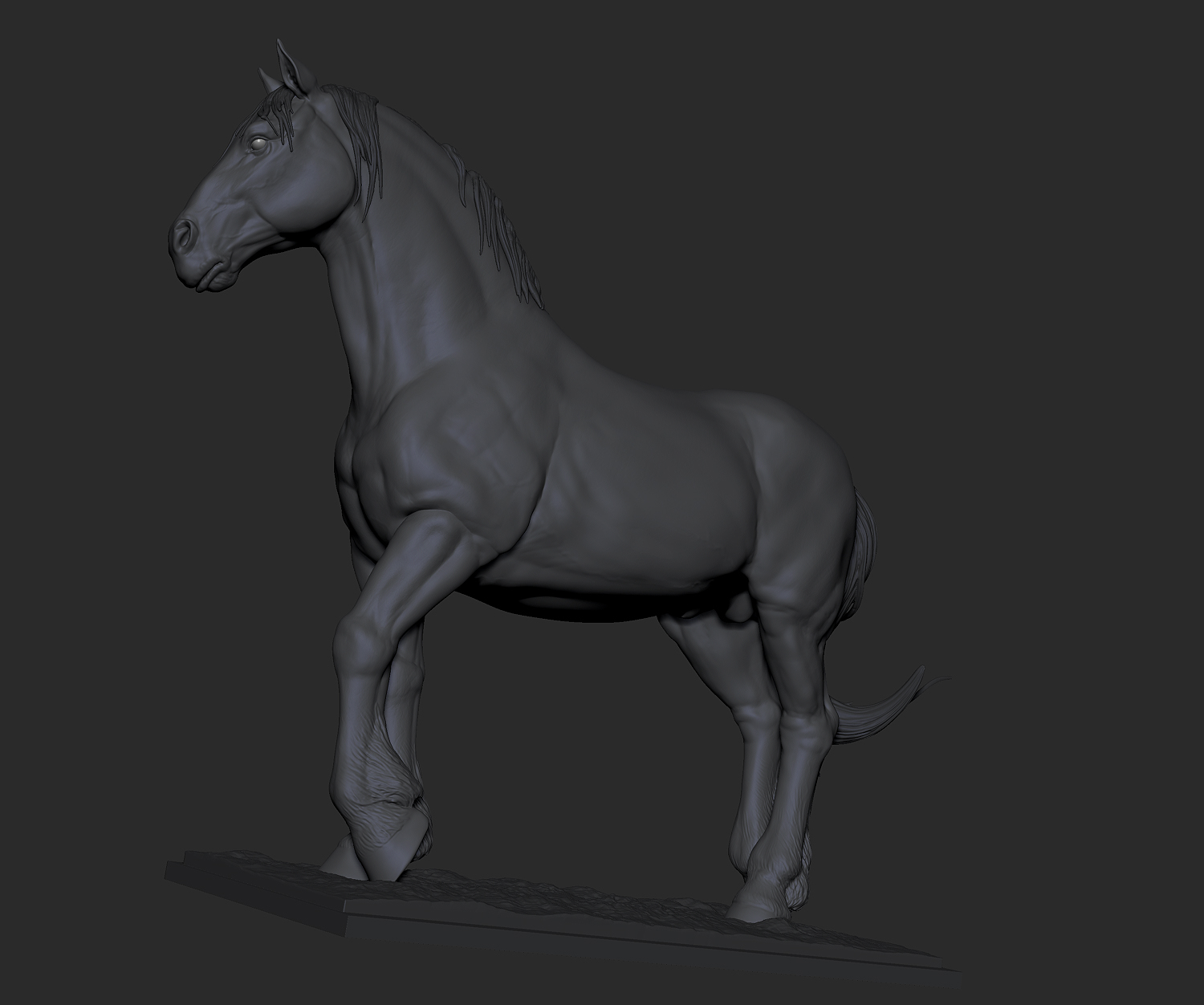 horse study 004.jpg