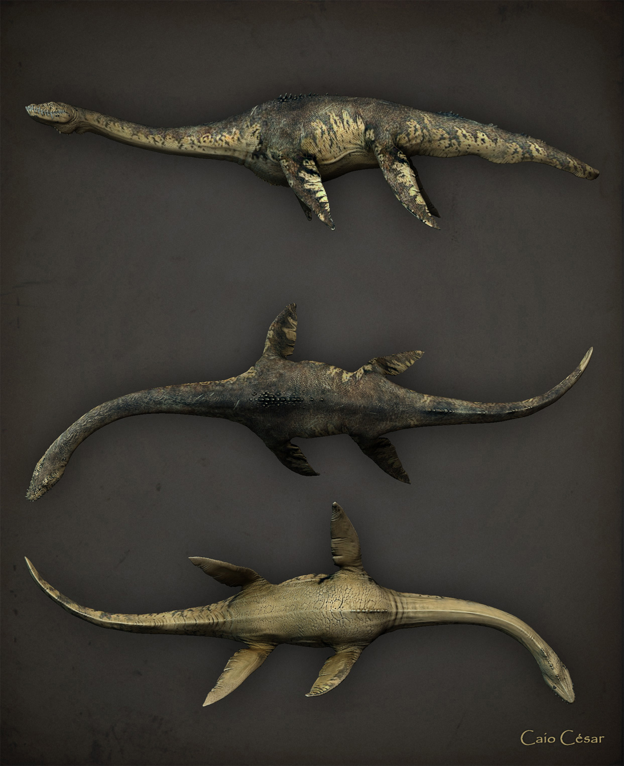 Plesiosaurus