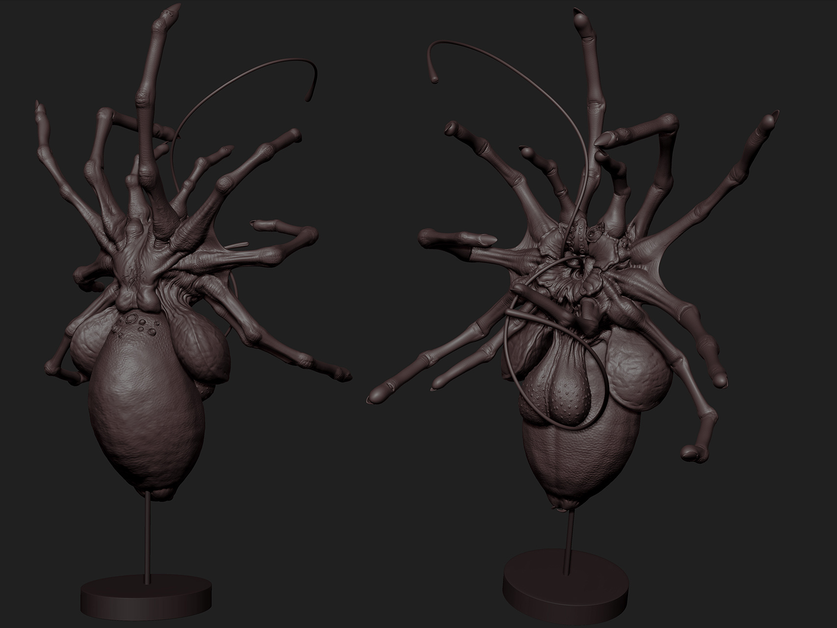 creepybug 002 sm.jpg