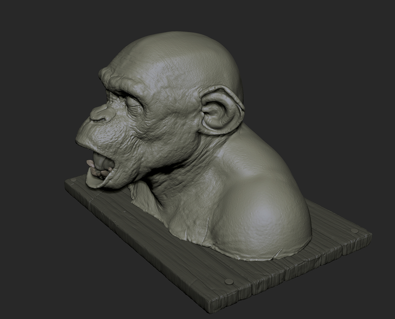 ape autopsy pt2 003.jpg