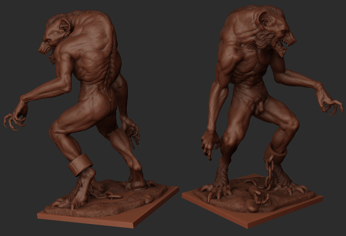 wolf%20sides%20better