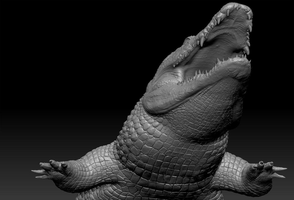 Alligator.07.jpg