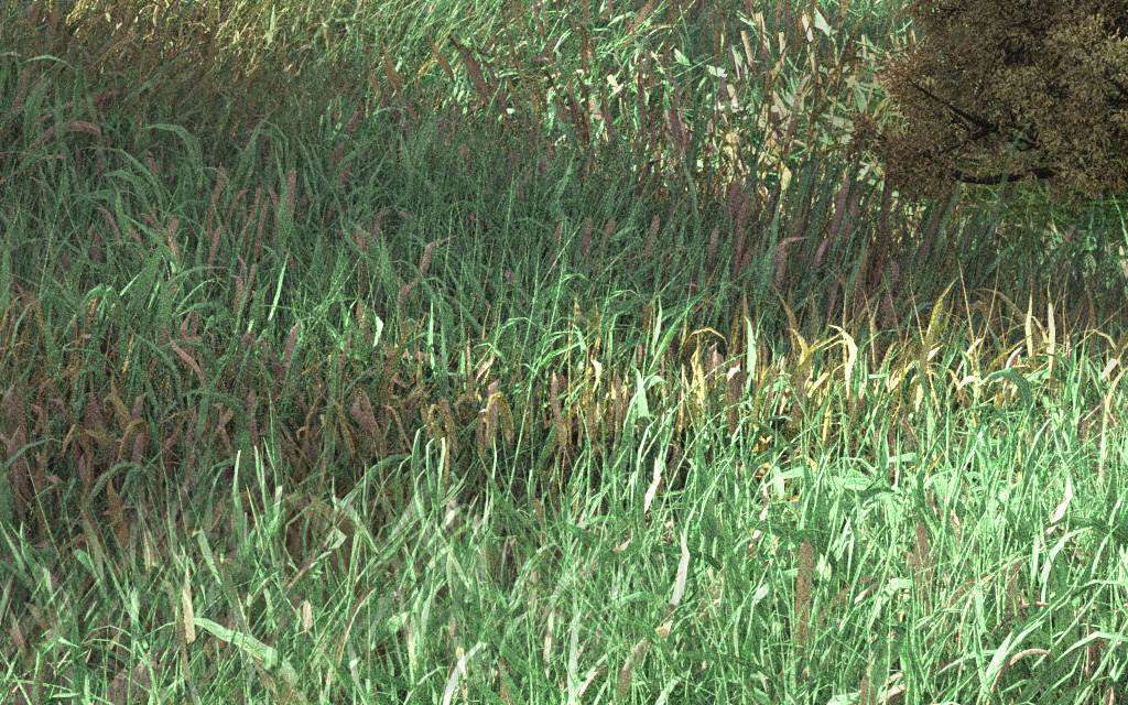 06-%E8%BF%91%E8%8D%89