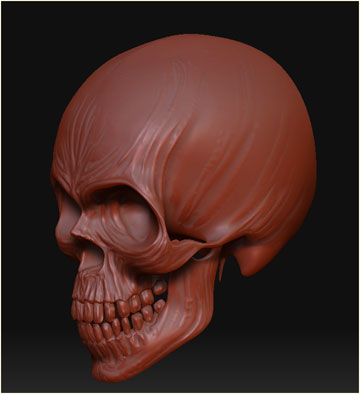 a-skull-2