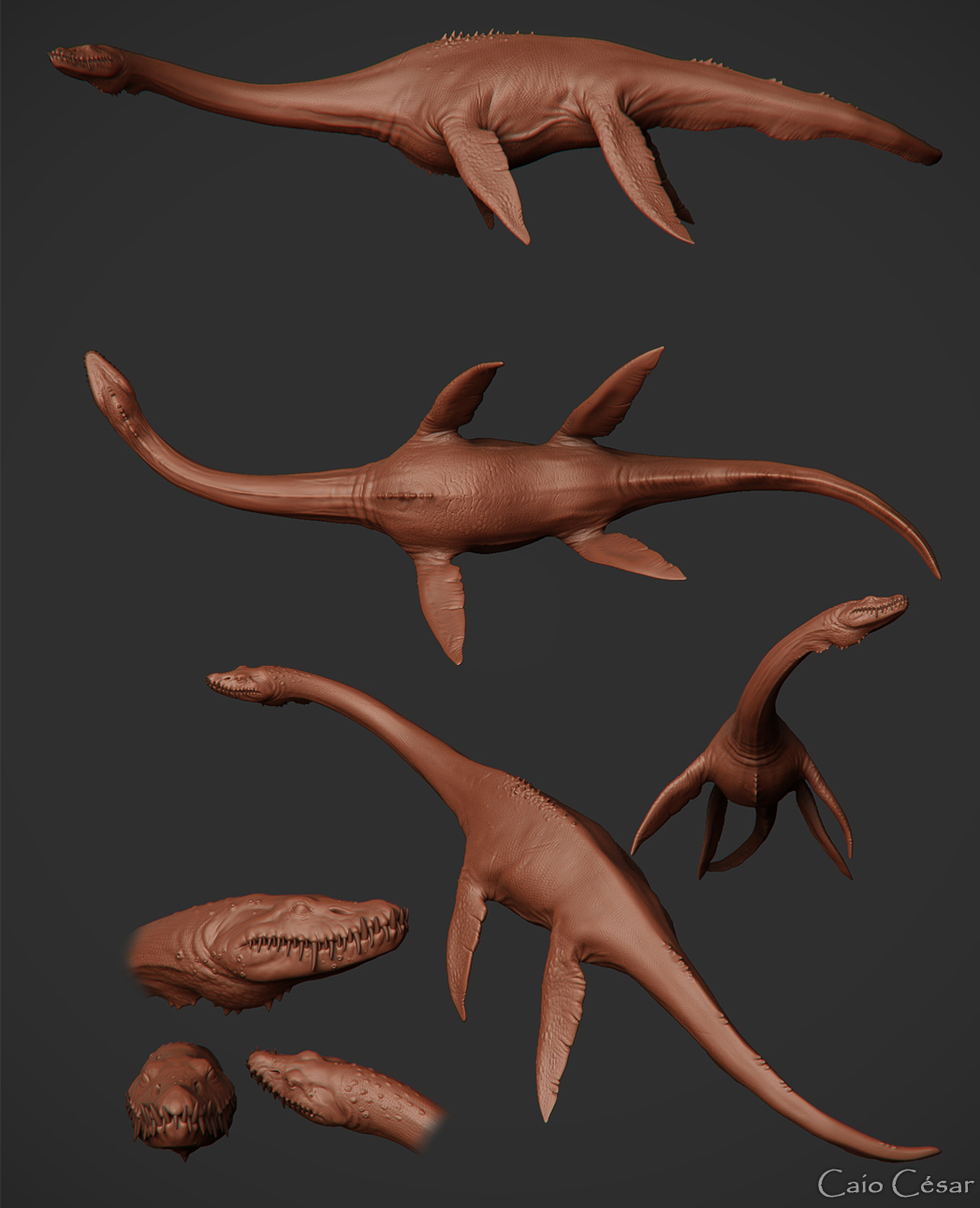 Plesiosaurus1
