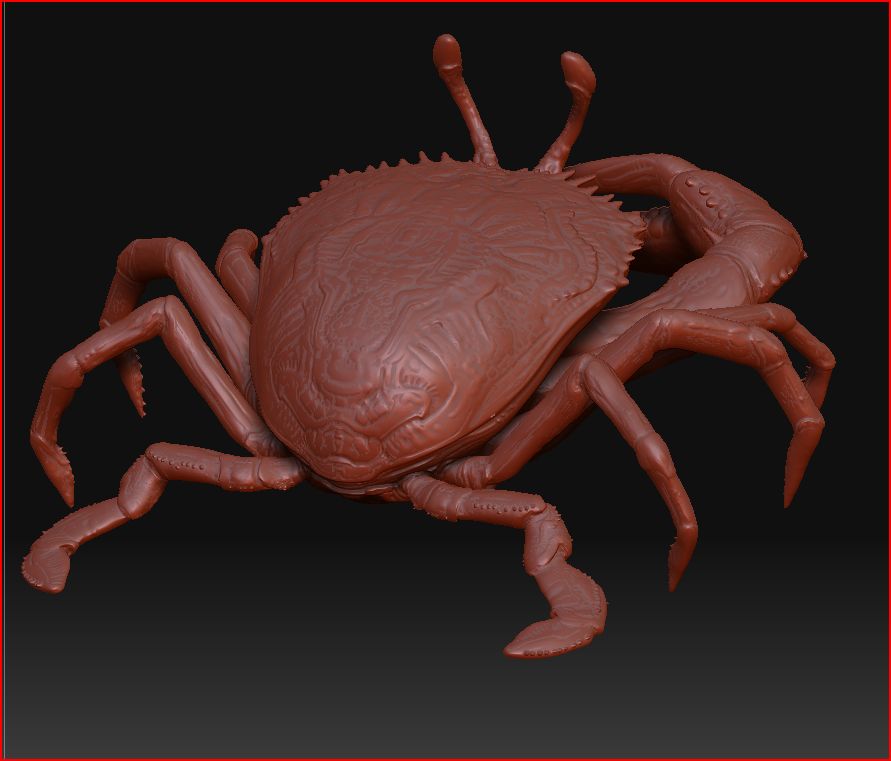 crab 34 back.JPG