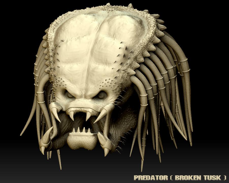 Predator_BrokenTusk.jpg
