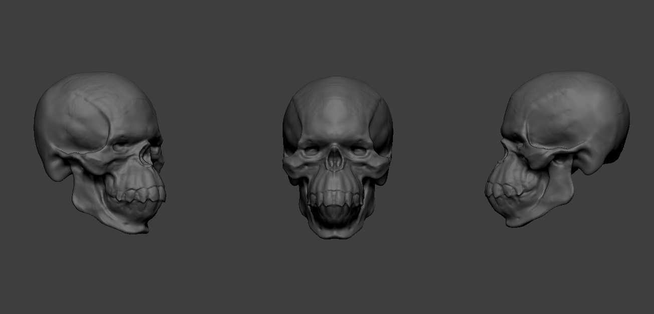 skull02.jpg