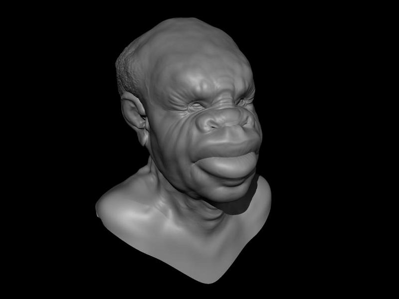 Pixolator%20Head3-mediano