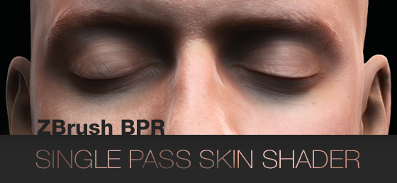 single pass header.jpg