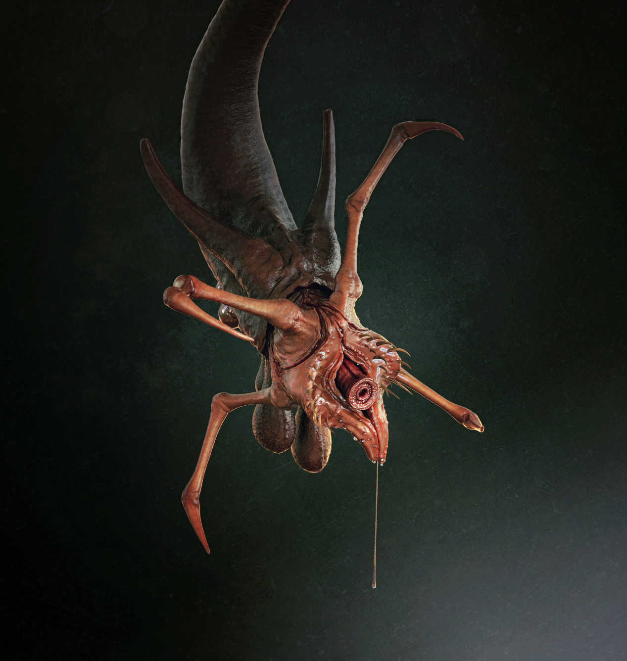 maarten-verhoeven-b (1).jpg