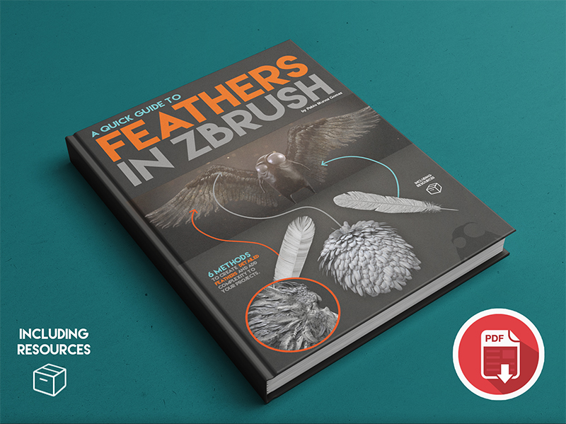 Feather_tutorials.jpg